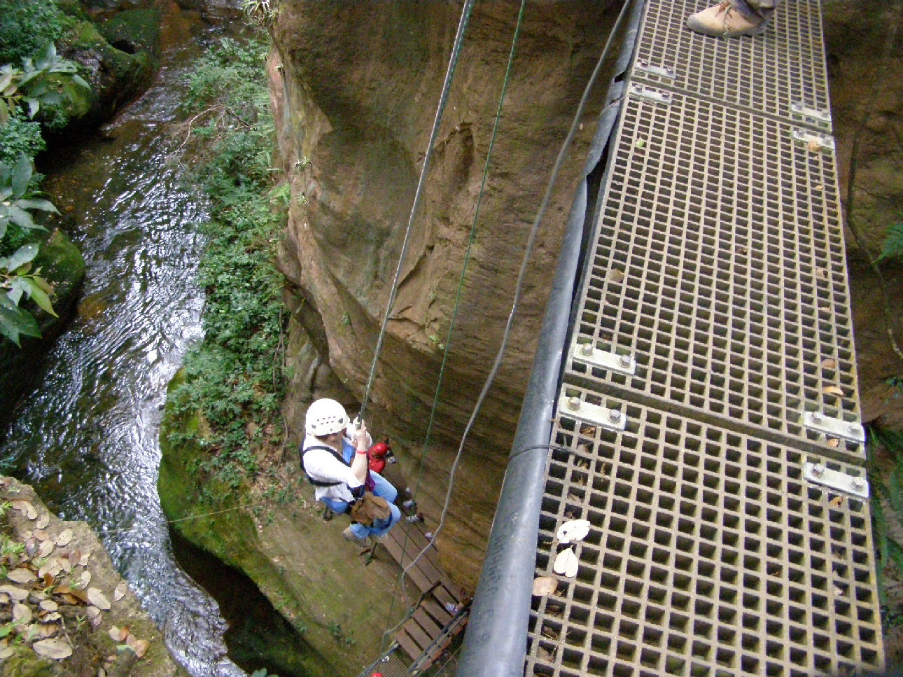 Doris
                Repelling